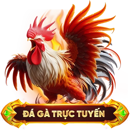 đá gà trực tuyến pg88